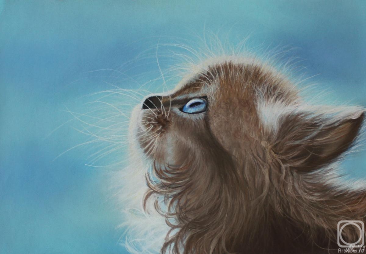 �������. ������� �����. ���� � ������