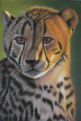 Cheetah. Kritskaya Linda