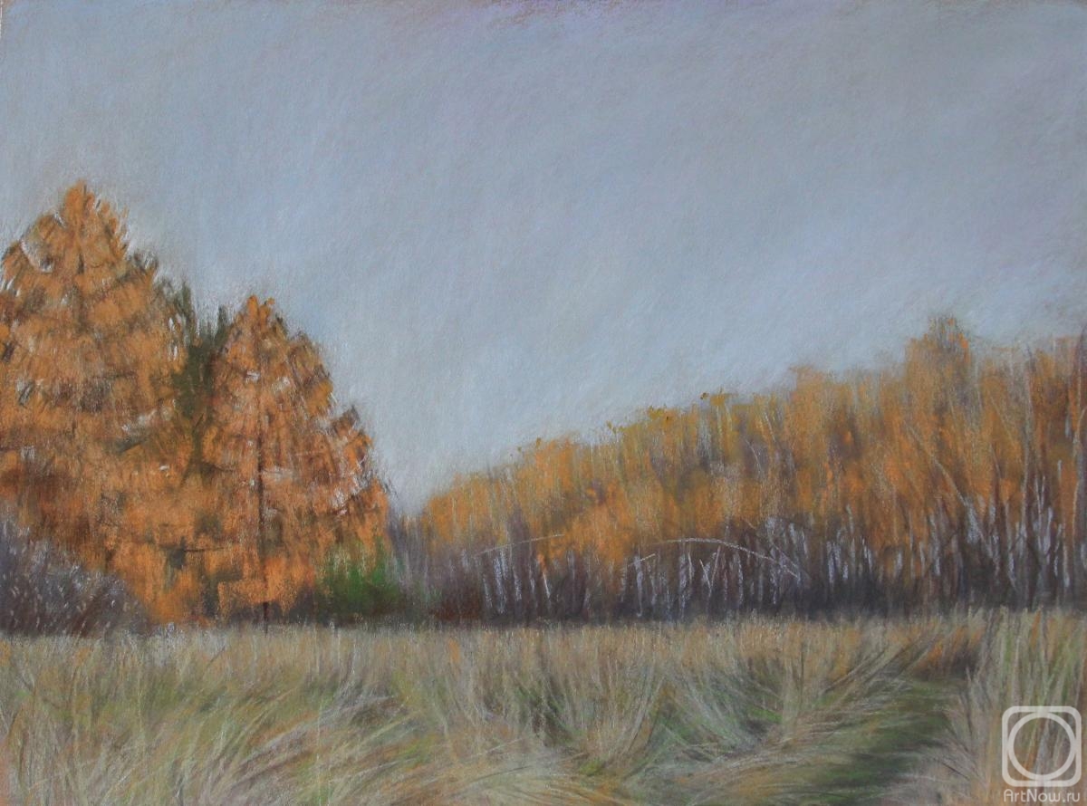 �������. ������� �����. ��������� �����