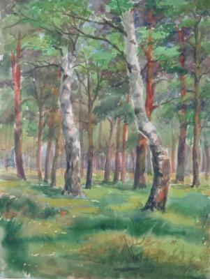 Watercolor 10. Summer landscape. Polikanina Olga