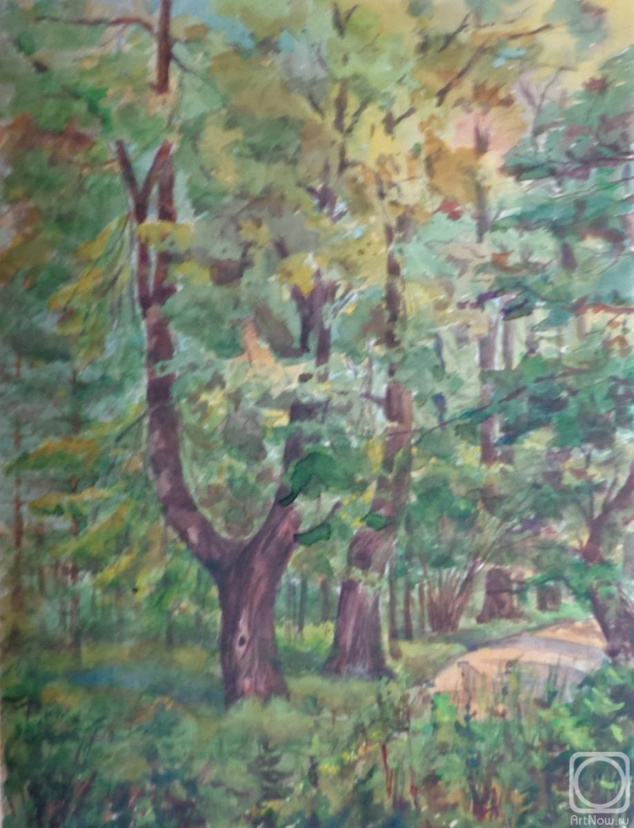 Polikanina Olga. Watercolor 11. Summer landscapes