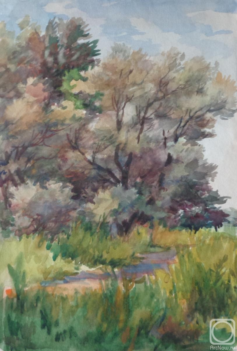 �������. ���������� �����. �������� 14. ������ �������