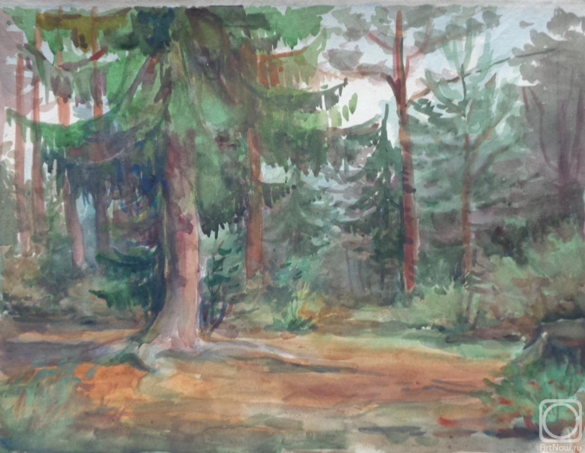 �������. ���������� �����. �������� 19. ������ �������