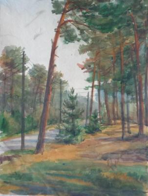 Watercolor 20. Summer landscapes. Polikanina Olga