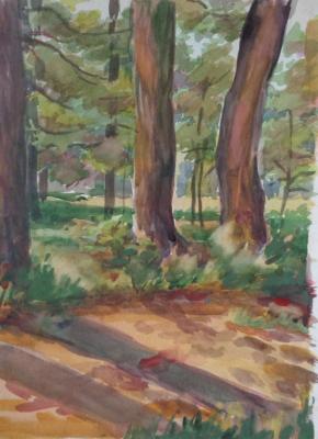 �������� 22. ������ ������. ���������� �����