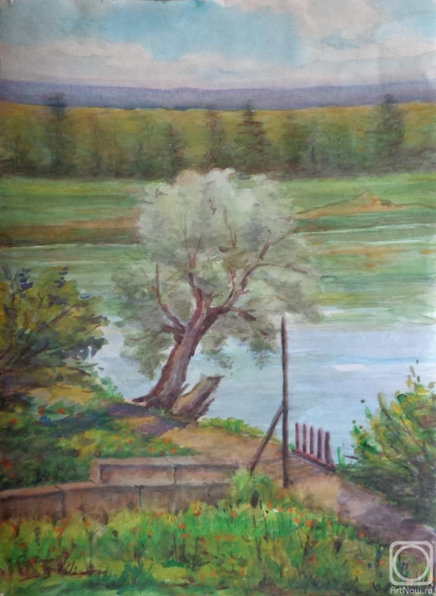 �������. ���������� �����. �������� 29. ������ �������