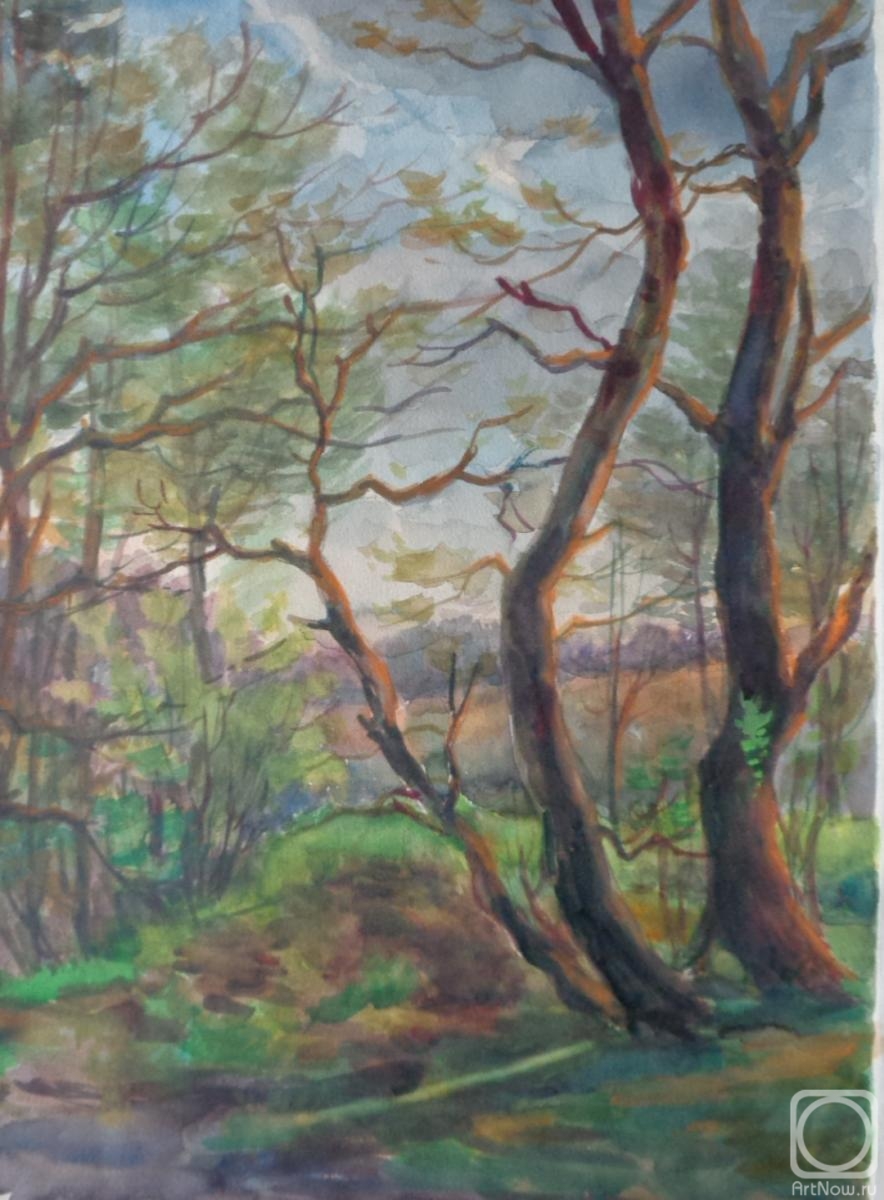 �������. ���������� �����. �������� 32. ������ �������