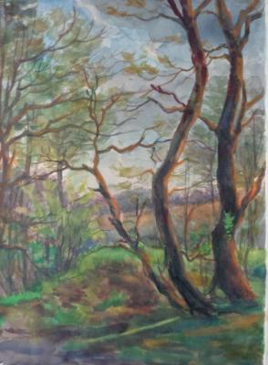 �������� 32. ������ �������. ���������� �����