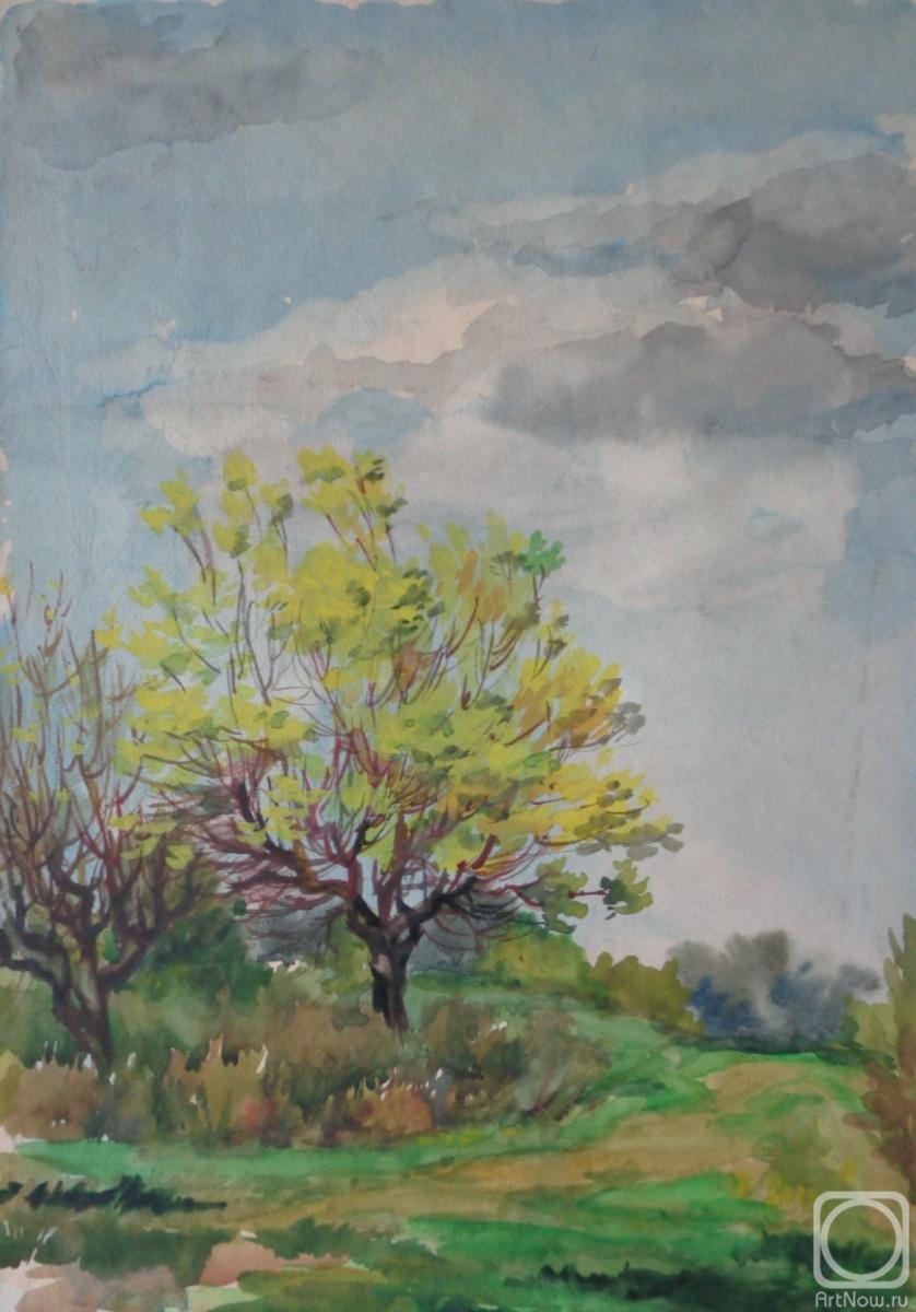 �������. ���������� �����. �������� 37. ������ �������