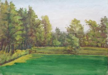 Watercolor 46. Summer landscapes