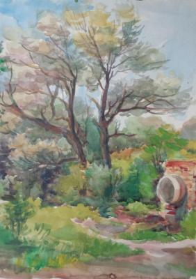 Watercolor 48. Summer landscapes