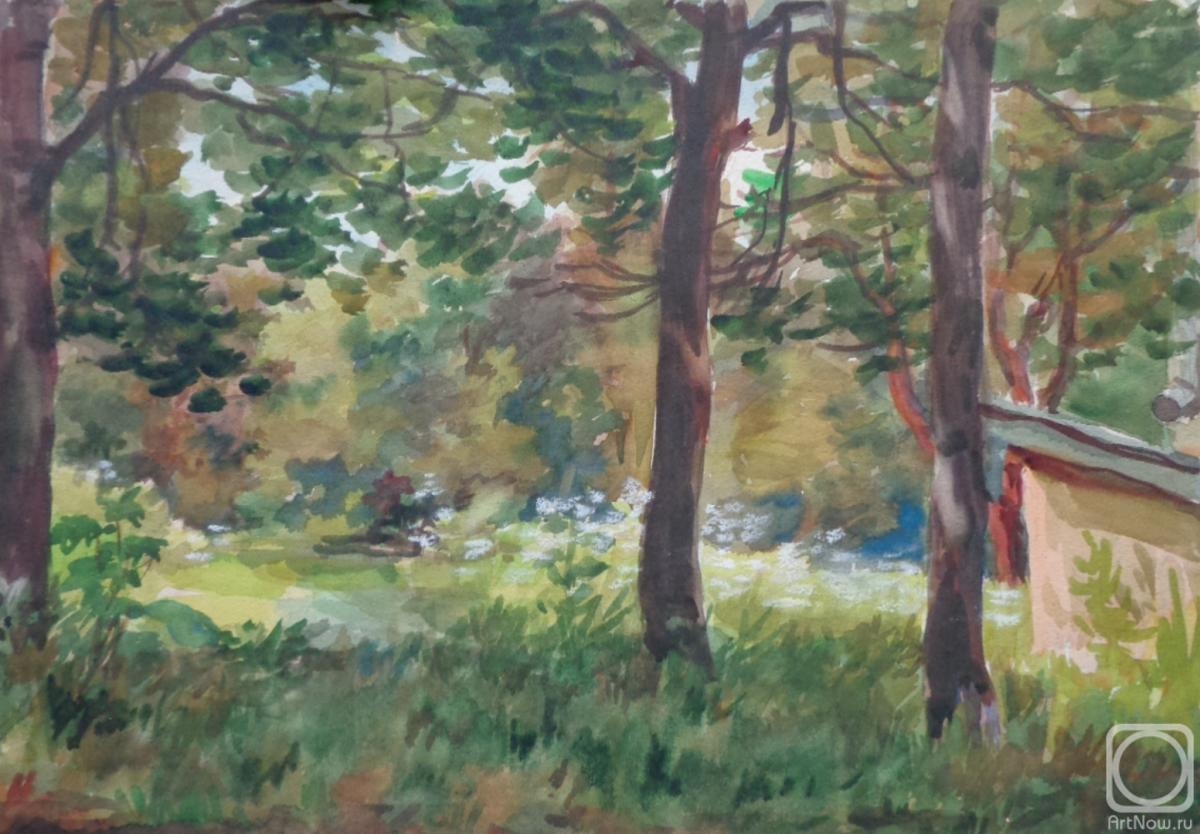 Polikanina Olga. Watercolor 49. Summer landscapes