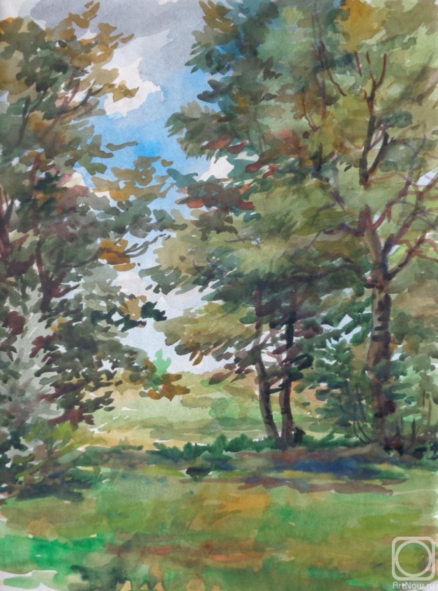 Polikanina Olga. Watercolor 50. Summer landscapes