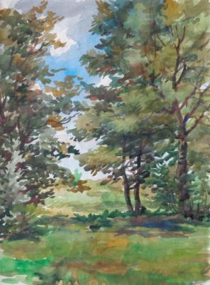 Watercolor 50. Summer landscapes