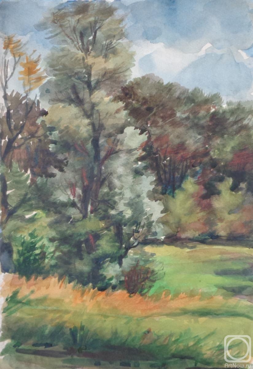 �������. ���������� �����. �������� 65. ������ �������