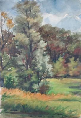 Watercolor 65. Summer landscapes