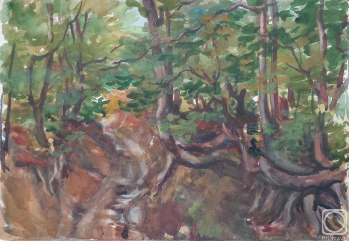 �������. ���������� �����. �������� 69. ������ �������