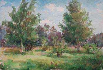 Watercolor 72. Summer landscapes