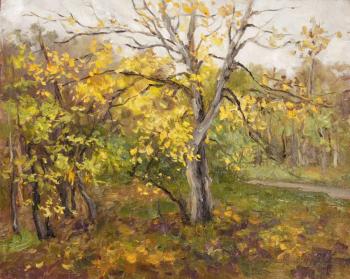 ������� �������� � �����