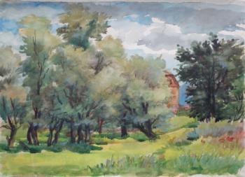 Watercolor 74. Summer landscapes