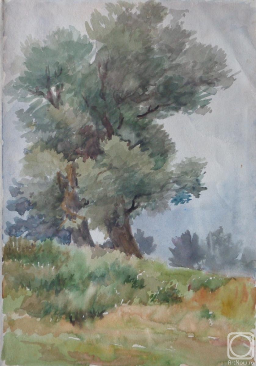 Polikanina Olga. Watercolor 75. Summer landscapes