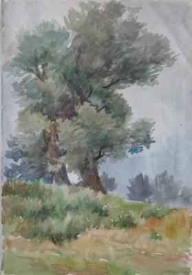 �������� 75. ������ �������. ���������� �����