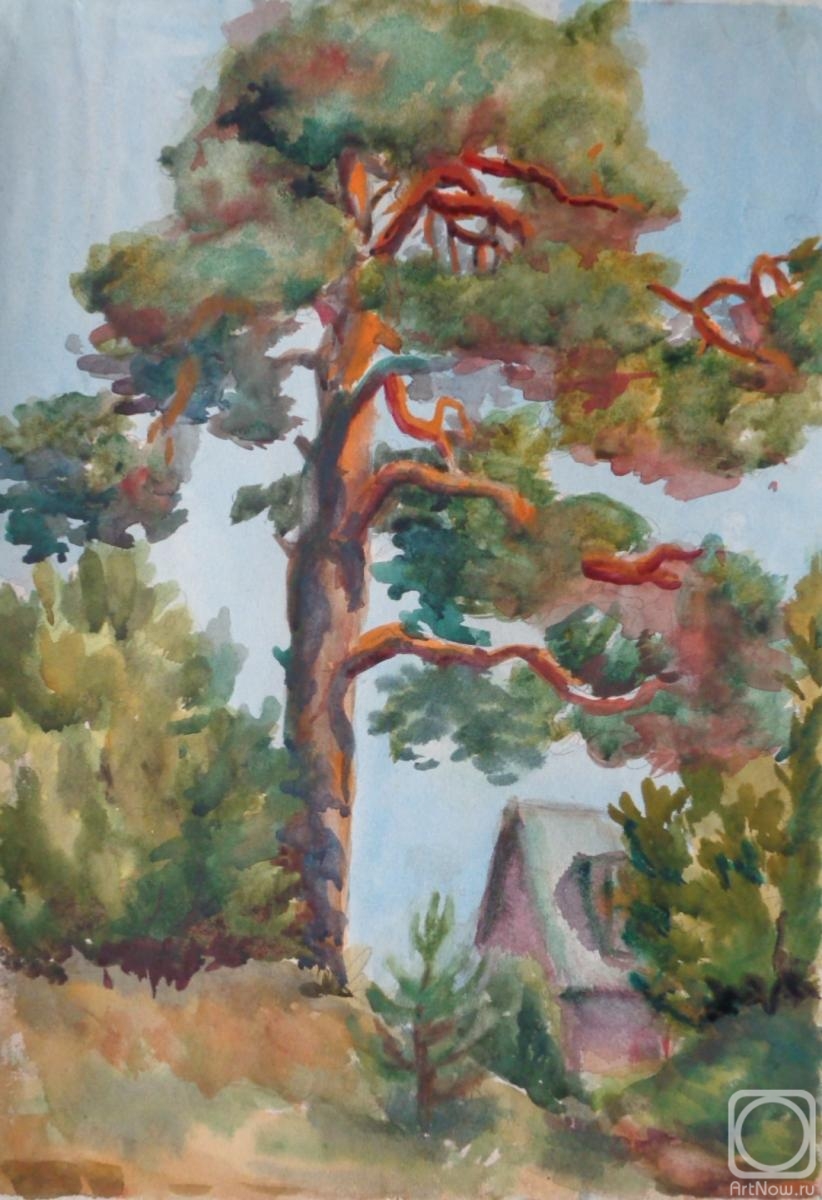 �������. ���������� �����. �������� 77. ������ �������