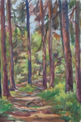 �������� 80. ������ �������. ���������� �����