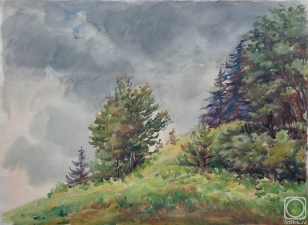 Polikanina Olga. Watercolor 81. Summer landscapes