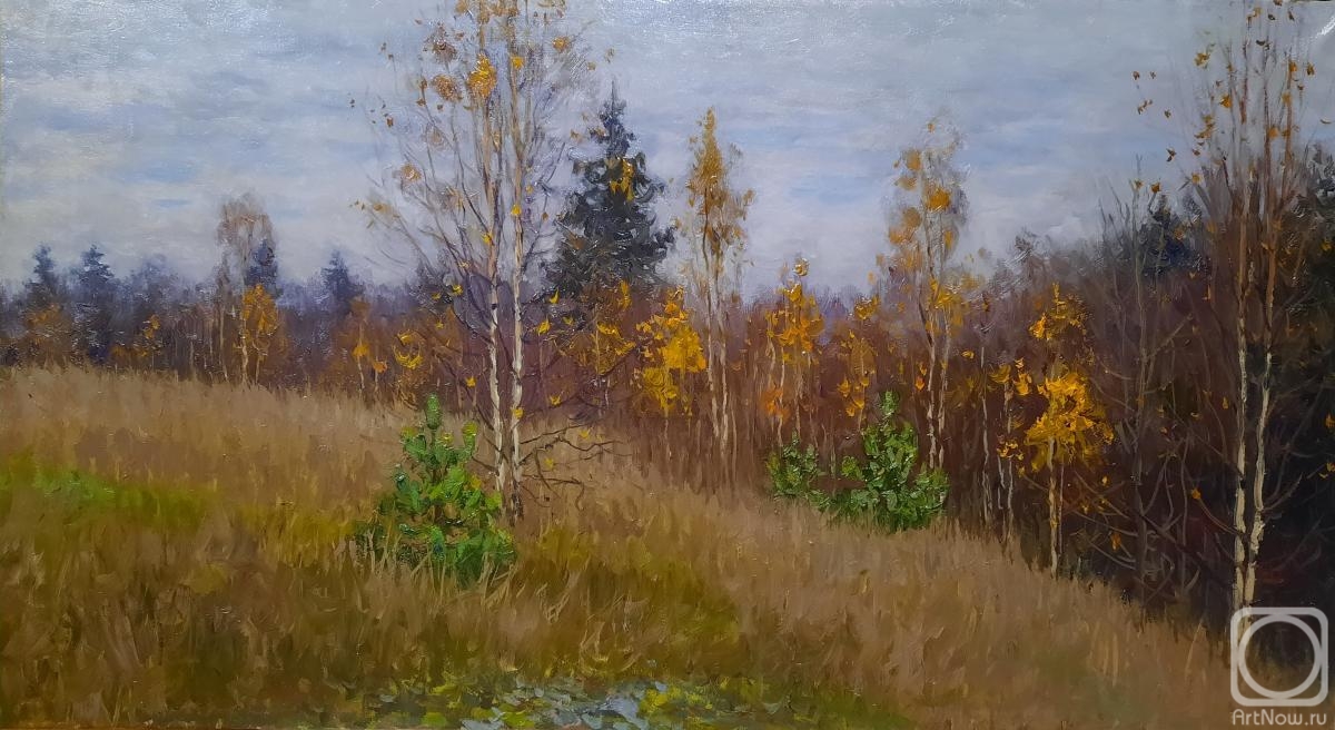 Filippov Vladimir. Late autumn
