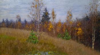 Late autumn. Filippov Vladimir