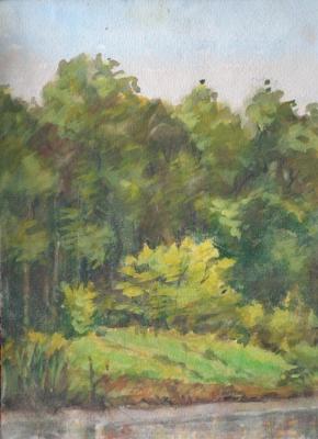 Watercolor 101. Summer landscapes