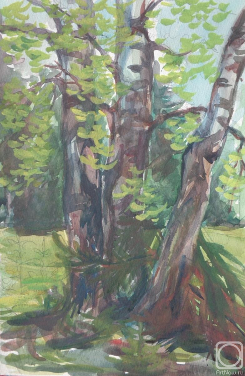 Polikanina Olga. Watercolor 105. Summer landscapes