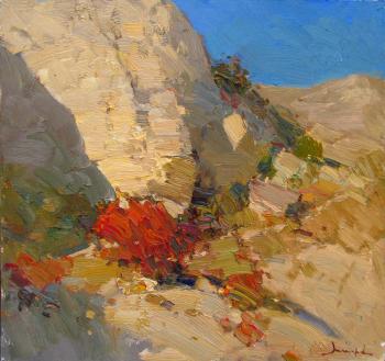 Warm evening in the mountains. Makarov Vitaly