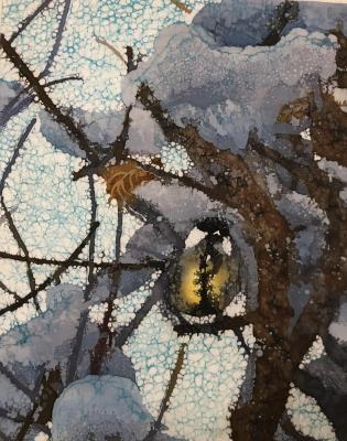 �������