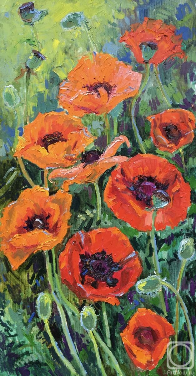 ������� ������ �� ������. ���������� �����. ������� �������