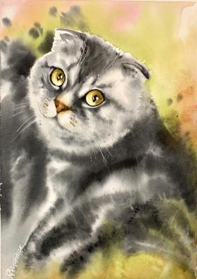 Olive portrait of the Axis (Cat Scottish Fold). Stoylik liudmila