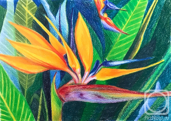 �������. �������� ������. ���������