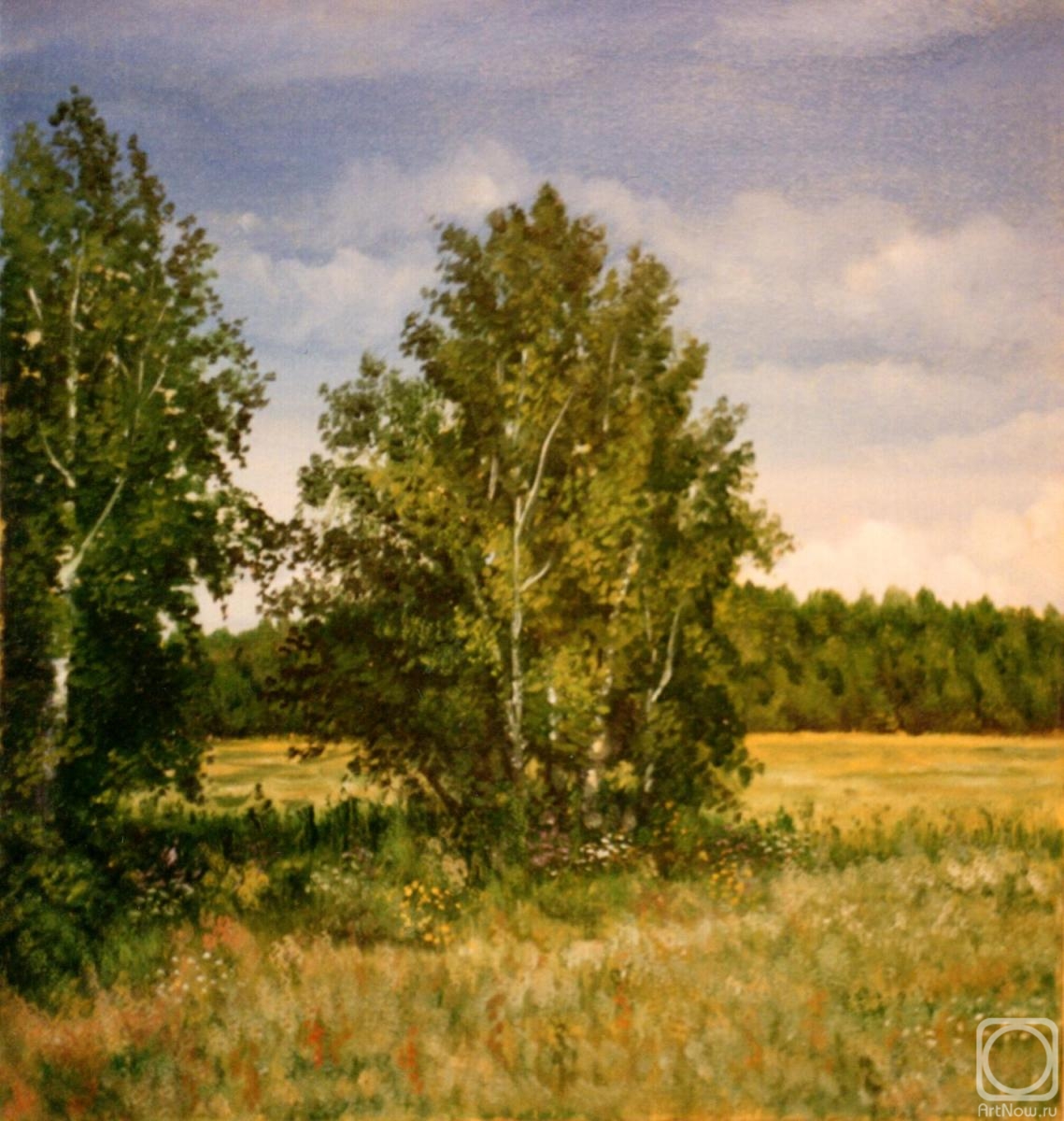 Abaimov Vladimir. Among the fields 1995