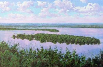 Volga backwaters (etude). Sergeev Oleg