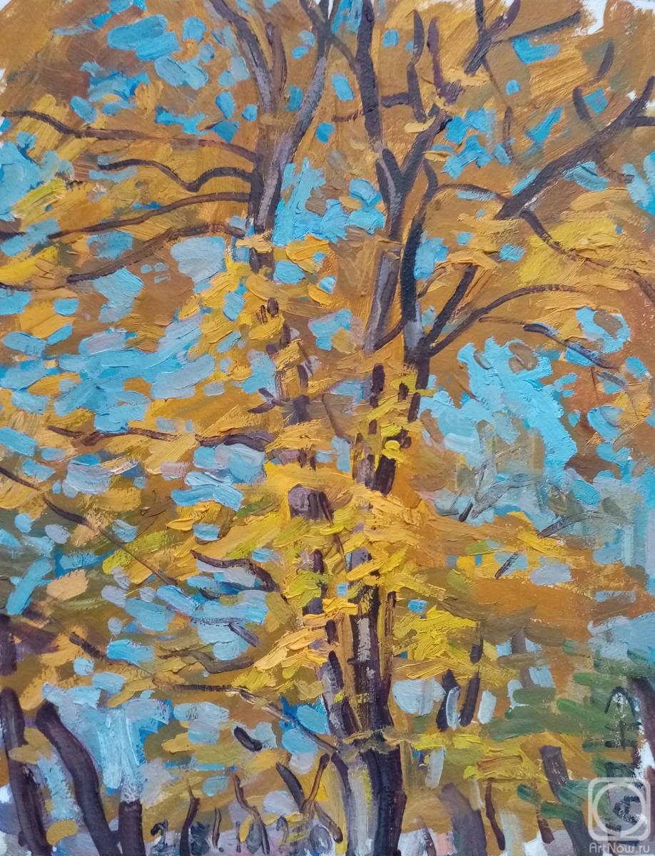 Dobrovolskaya Gayane. Autumn maple