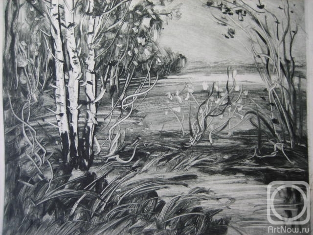 Usachev Anatoliy. Birches