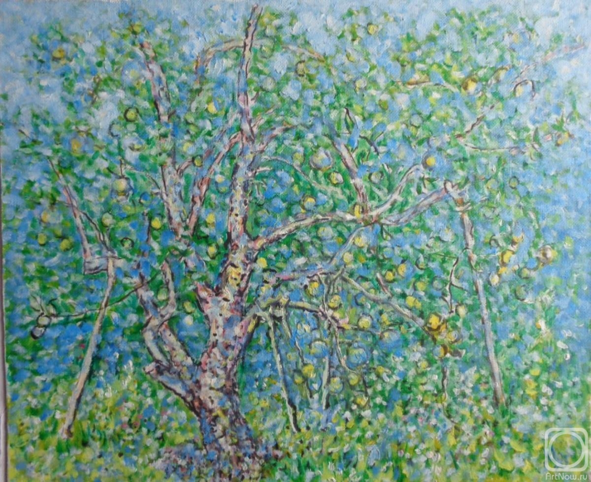 Usachev Anatoliy. Apple tree