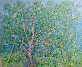 ������. ������ ��������