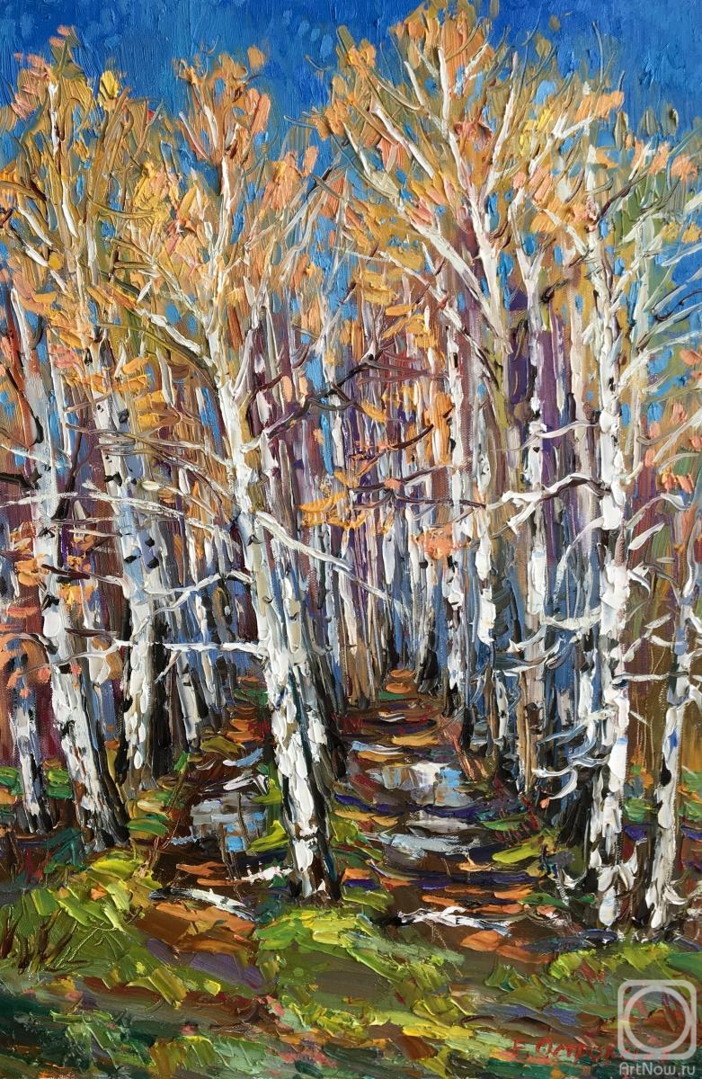 ������� ������ �� ������. ���������� �����. �������� ������