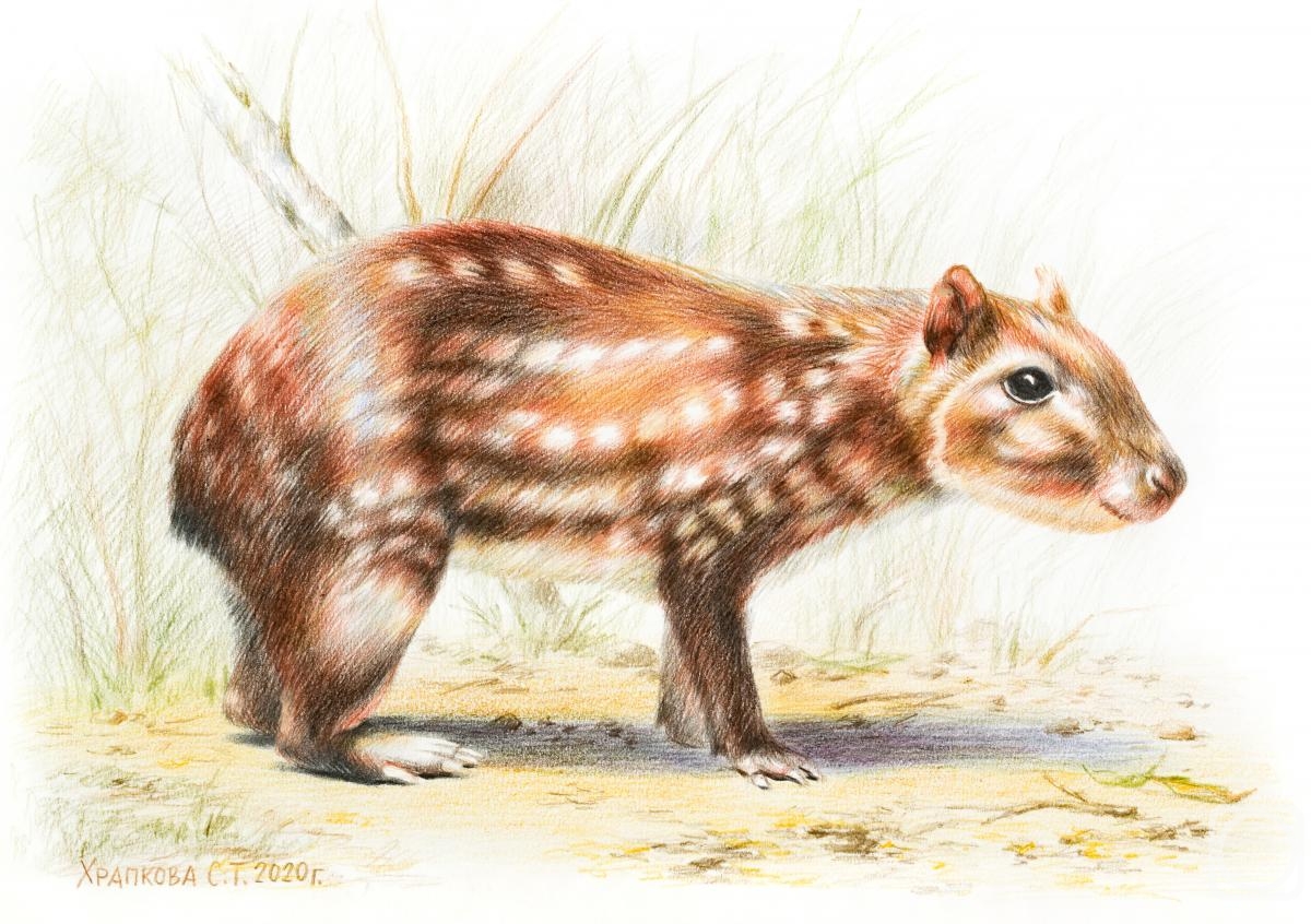 �������. �������� ��������. ����