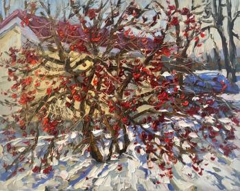 ������� ������� ��������