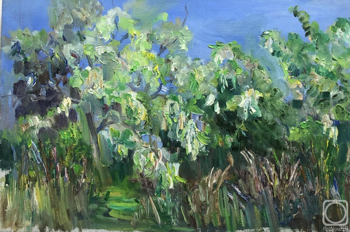 ������� ������ �� ������. ������ �����. �������� ������