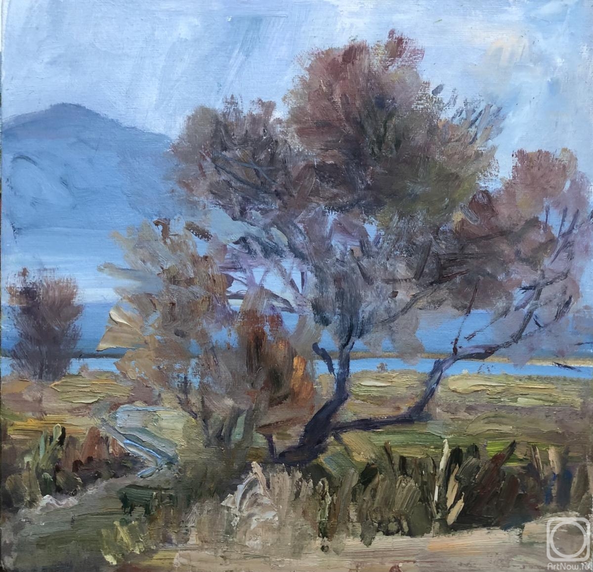 ������� ������ �� ������. ������ �����. ����� �� ���������� ����