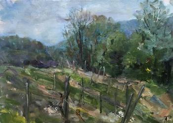 ������� ���� ���������